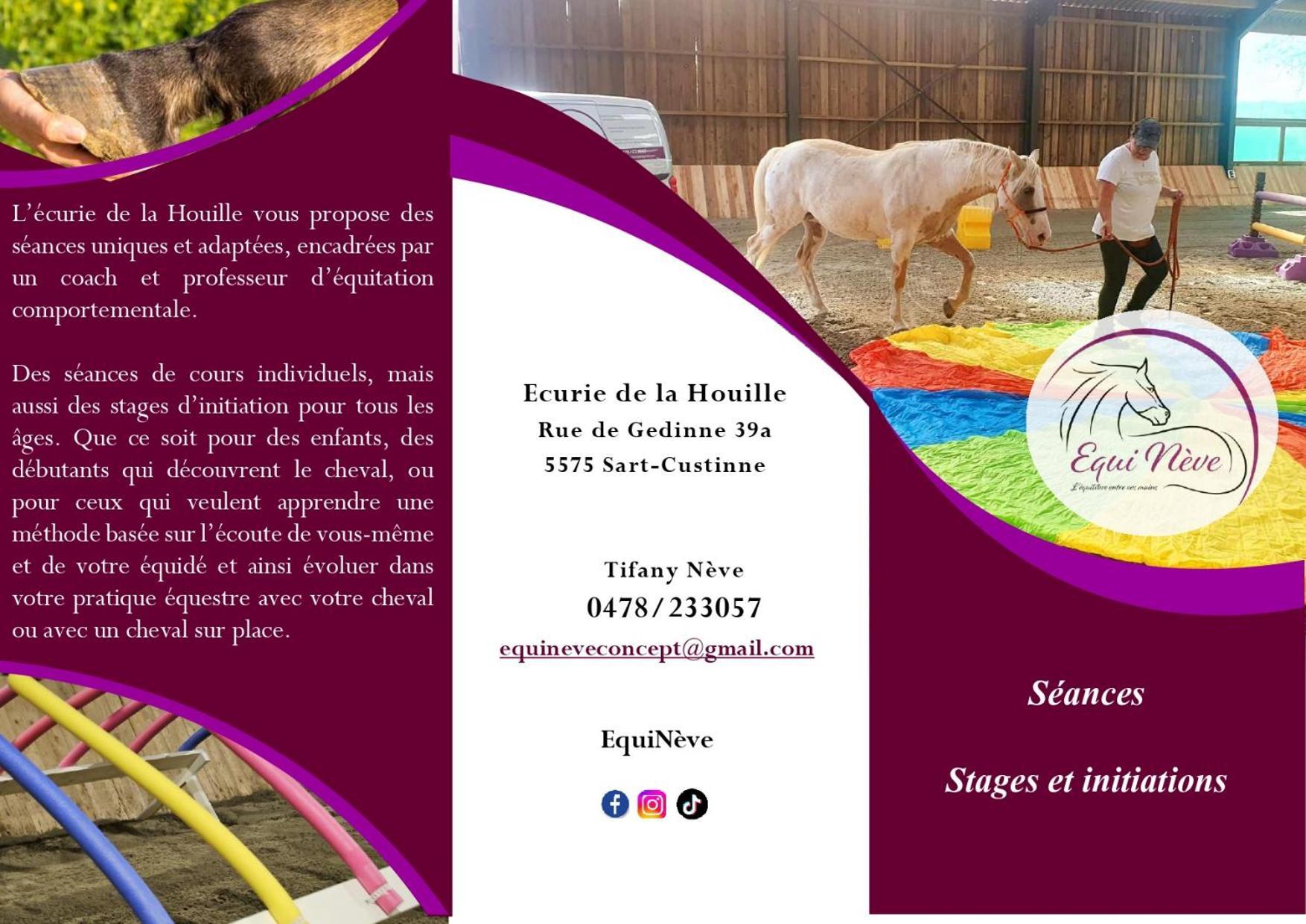 فيلا Le Relais De La Houille Sart-Custinne المظهر الخارجي الصورة